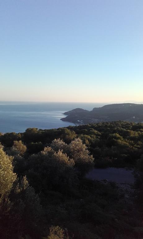 Barbara II Hotel Agia Marina  Buitenkant foto